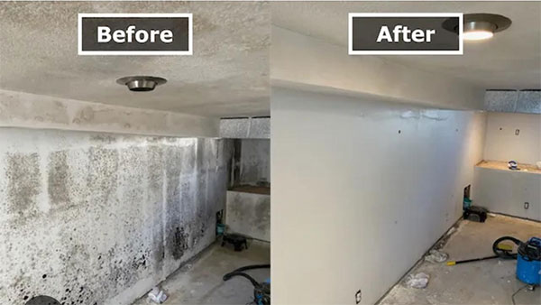 Condensation and Mould Solutions